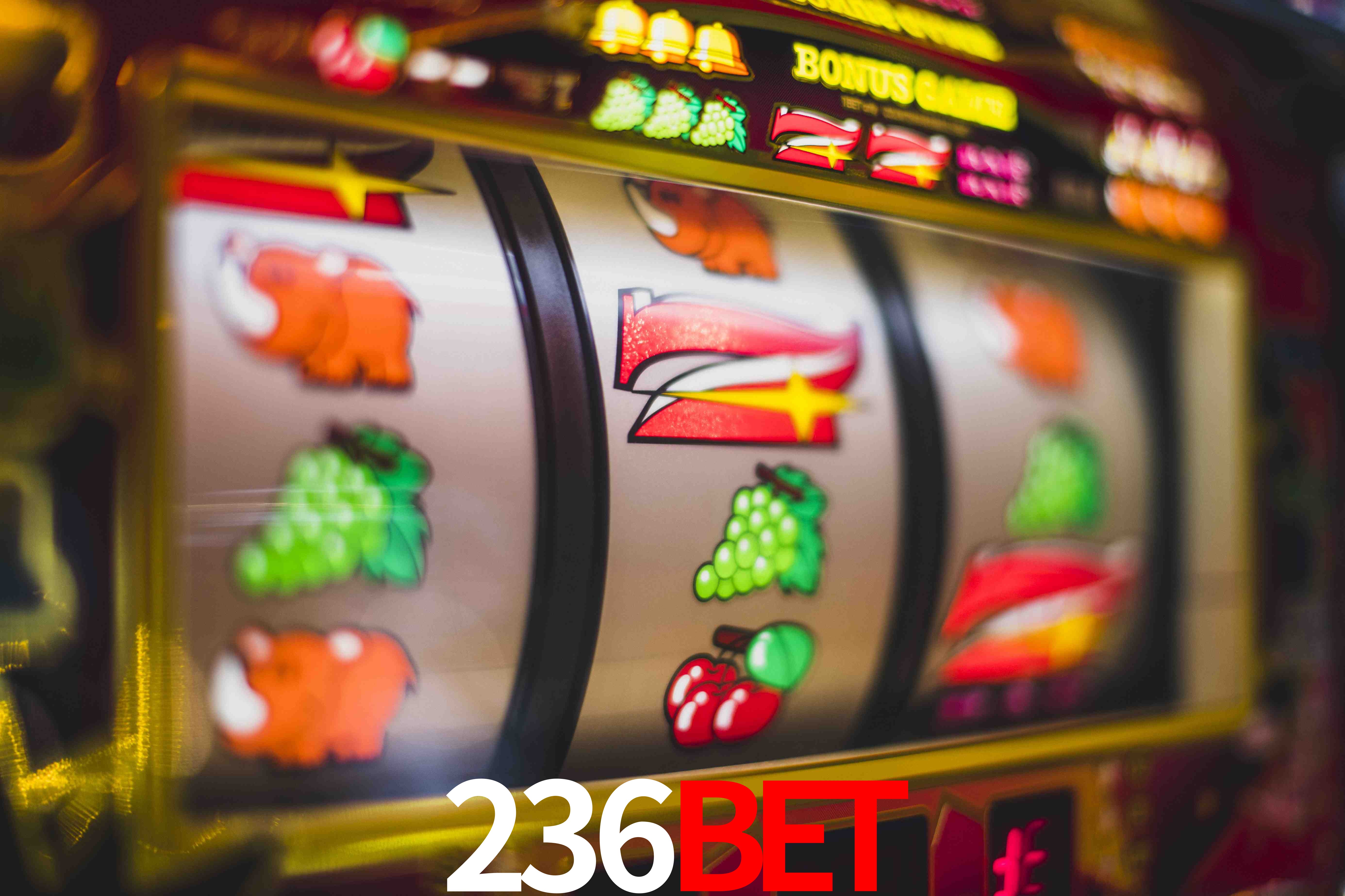 Crash Games Statistics 236BET